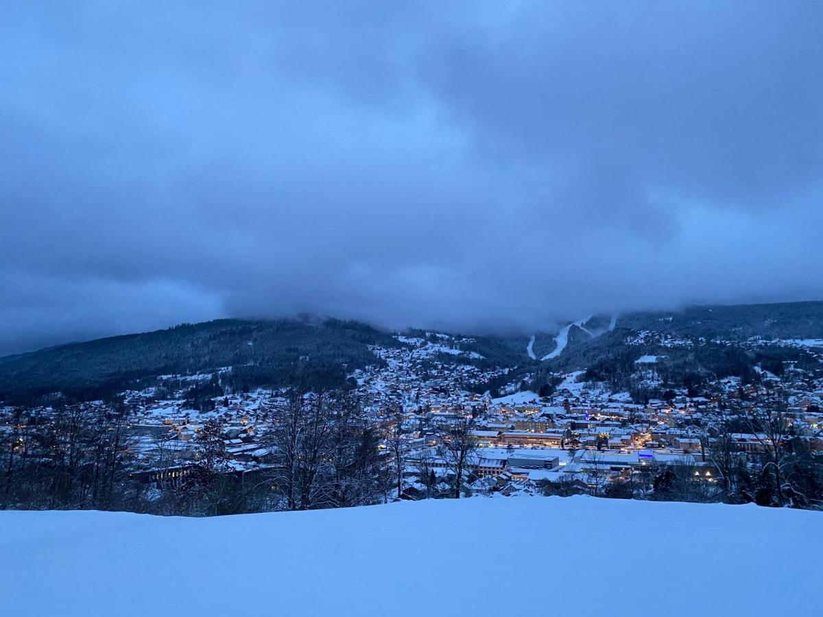 La Cime Des Lacs Gerardmer Bagian luar foto
